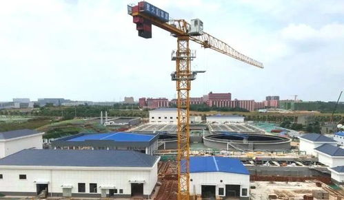 長沙縣教育基建再發(fā)力 新校落成與重點(diǎn)項(xiàng)目施工進(jìn)展盤點(diǎn)