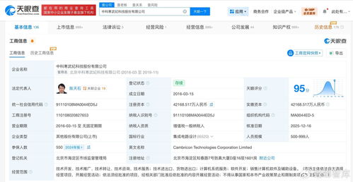 寒武紀投資版圖揭秘 計算機系統服務的雙引領策略與新空間布局